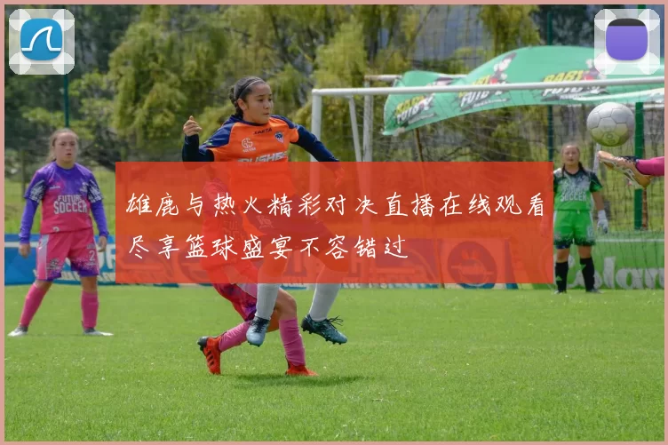 雄鹿与热火精彩对决直播在线观看尽享篮球盛宴不容错过