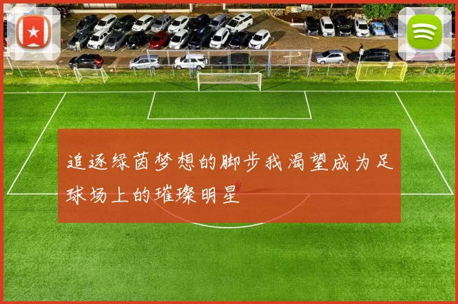 追逐绿茵梦想的脚步我渴望成为足球场上的璀璨明星