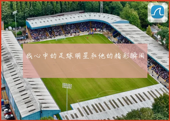 我心中的足球明星和他的精彩瞬间