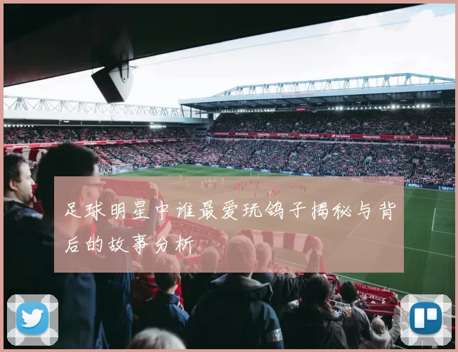 足球明星中谁最爱玩鸽子揭秘与背后的故事分析