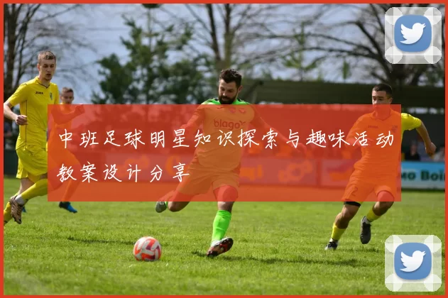 中班足球明星知识探索与趣味活动教案设计分享