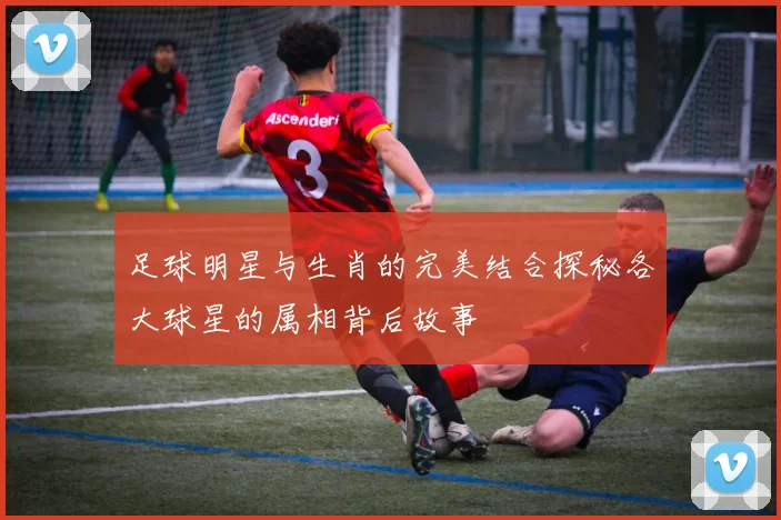 足球明星与生肖的完美结合探秘各大球星的属相背后故事