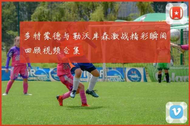 多特蒙德与勒沃库森激战精彩瞬间回顾视频合集