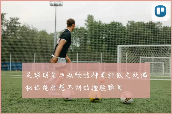 足球明星与动物的神奇相似之处揭秘你绝对想不到的撞脸瞬间