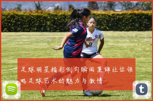 足球明星精彩倒勾瞬间集锦让你领略足球艺术的魅力与激情