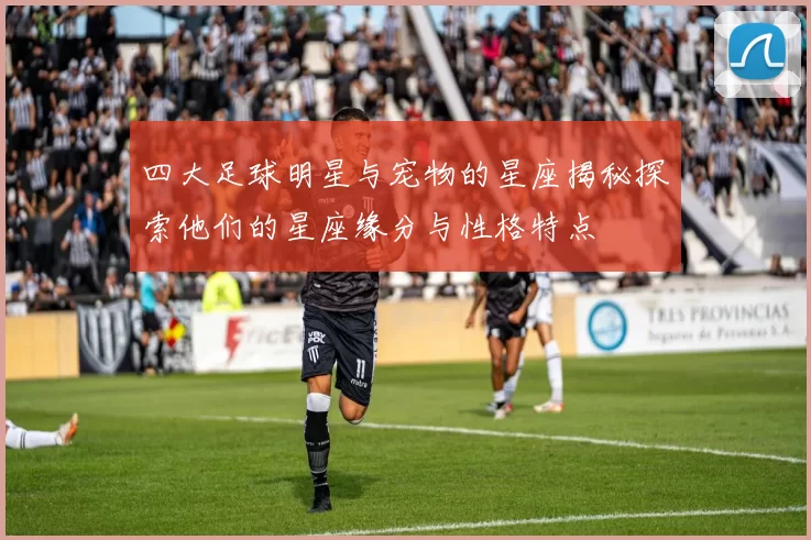 四大足球明星与宠物的星座揭秘探索他们的星座缘分与性格特点