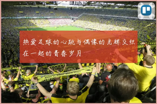 热爱足球的心跳与偶像的光辉交织在一起的青春岁月